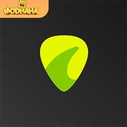 Download Guitar Tuna Pro 