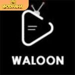Waloon TV