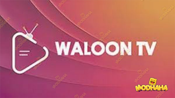 waloon tv apk 2023
