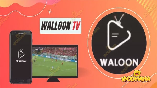 waloon tv modfyp
