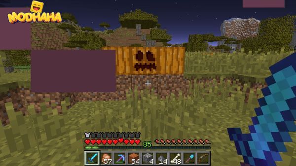 minecraft screenshot  2