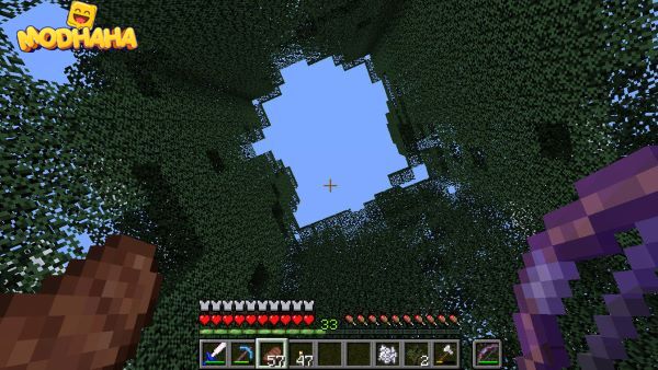 minecraft screenshot  3