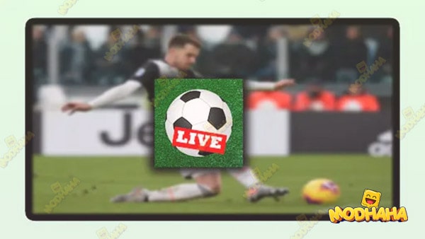 live soccer tv apk gratis