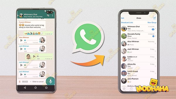 whatsapp iphone actualizado