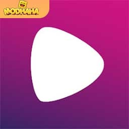 Download Wiseplay