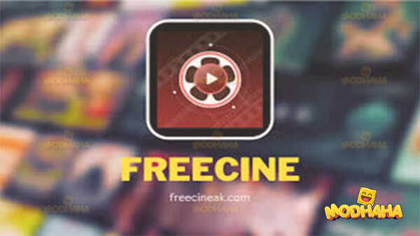 freecine apk tv box