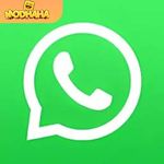 Whatsapp Beta APK 2.24 Descargar última version para Android 2024