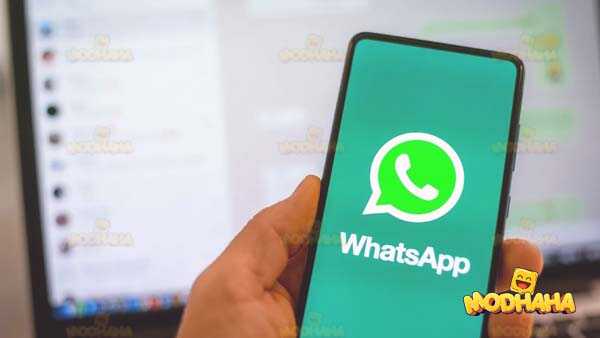 whatsapp beta apk descargar