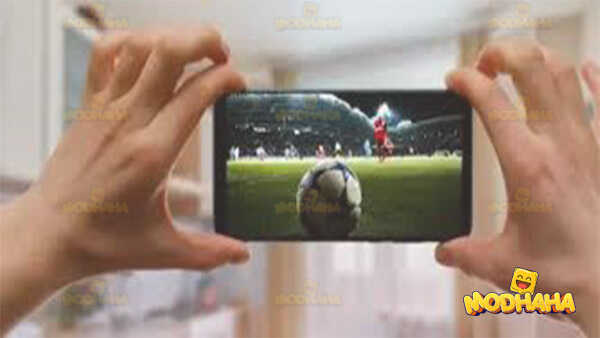 arena4viewer apk 2024