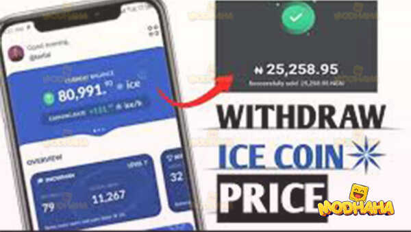 crypto ice apk old version