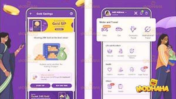 fake phonepe apk mod