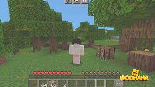 minecraft 1 21 30 21 gratis