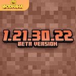 Minecraft 1.21.30.22