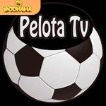 Pelota TV APK 3.0 | Descargar para Android 2024