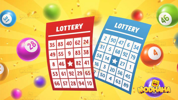 365 lottery for android