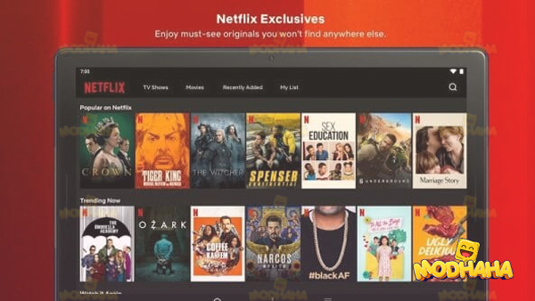 94fbr netflix apk for Android