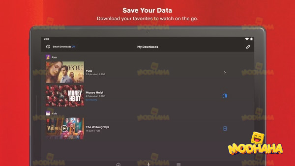 94fbr netflix premium hindi