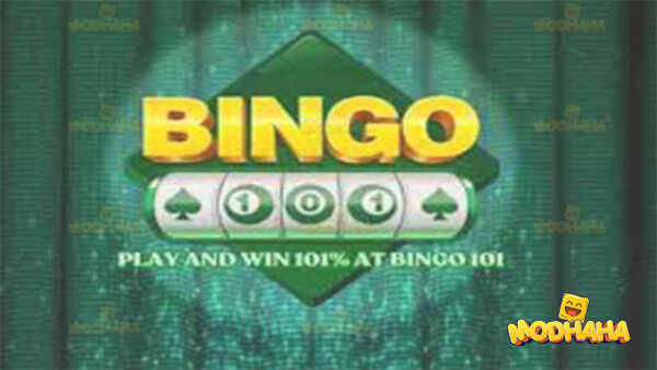 bingo 101 apk latest version 2024