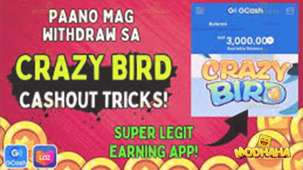 crazy bird mod apk 2024