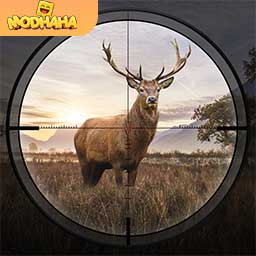 Download Hunting Sniper