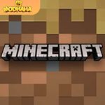 Minecraft 1.21.21.01