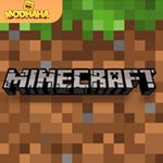 Minecraft 1.21.30.24