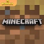 Minecraft 1.21.40.20 