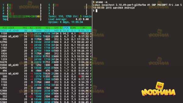 termux apk latest version