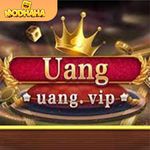 Uang VIP