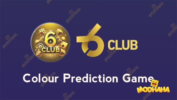 6 club login apk